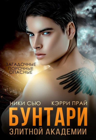 постер аудиокниги Бунтари элитной академии - Ники Сью