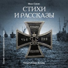 постер аудиокниги Стихи и рассказы