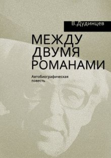 постер аудиокниги Между двумя романами