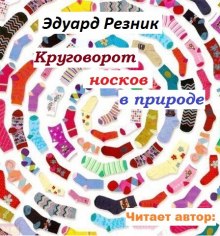 постер аудиокниги Круговорот носков в природе