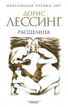 постер аудиокниги Расщелина