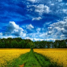 постер аудиокниги Любимый уголок природы. Сеанс релаксации