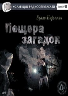 постер аудиокниги Пещера загадок